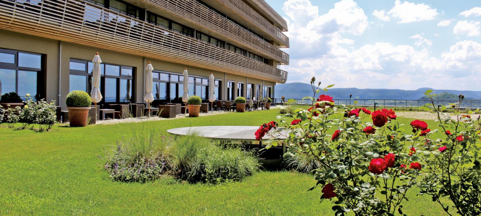 Roof garden with lawn, shrubs and rose bushes